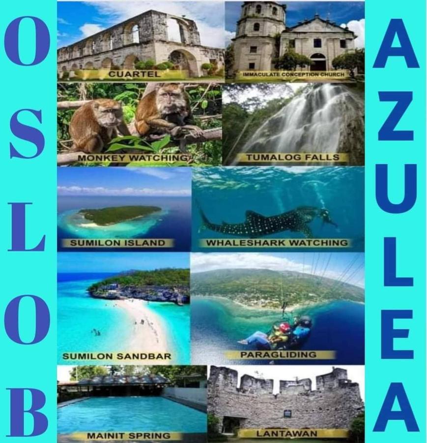 Azulea Lodging House Oslob Exteriör bild